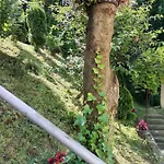 Fiar * サラエヴォ