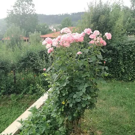 Apartment Fiar Sarajevo