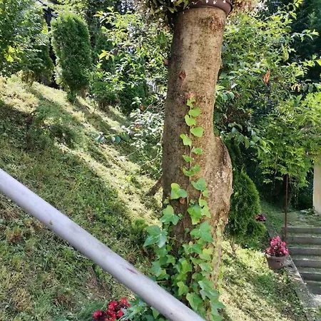 Fiar * Sarajevo